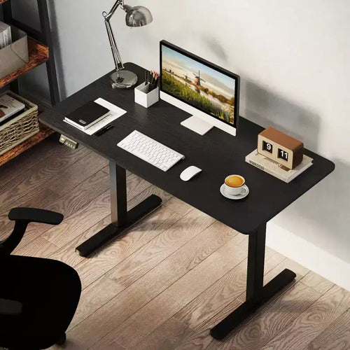 Costway 48 x 24 Electric Standing Desk with LED Display 2 Memory Height Settings for Home