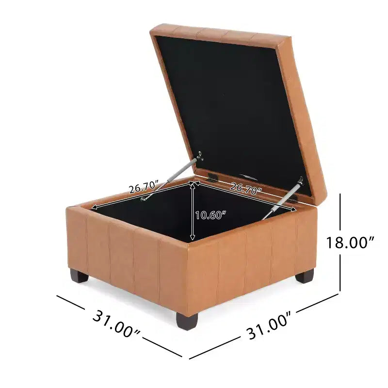 Pouf Contenitore Quadrato TUYOHW, Panca da Ingresso con Cuscino Raffinato, Panca Contenitore per Soggiorno, Camera da Letto
