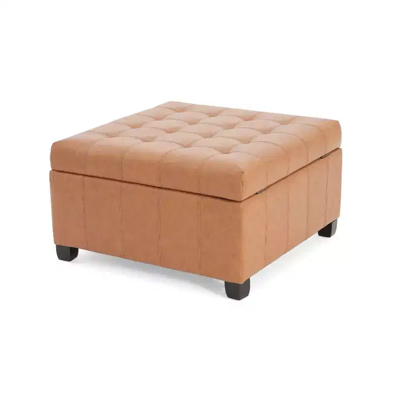 Pouf Contenitore Quadrato TUYOHW, Panca da Ingresso con Cuscino Raffinato, Panca Contenitore per Soggiorno, Camera da Letto
