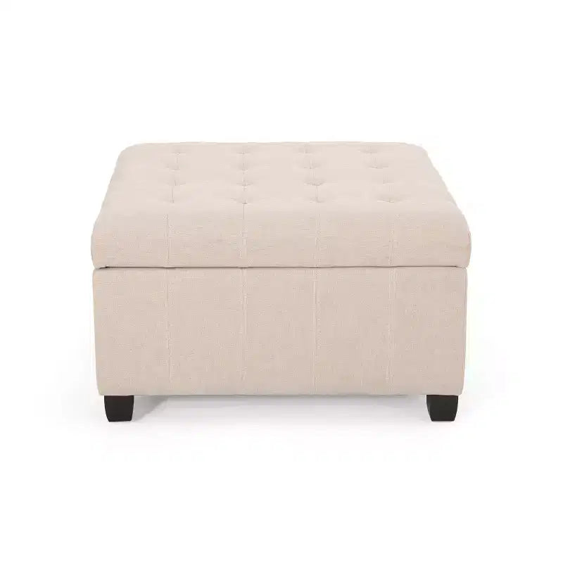 Pouf Contenitore Quadrato TUYOHW, Panca da Ingresso con Cuscino Raffinato, Panca Contenitore per Soggiorno, Camera da Letto