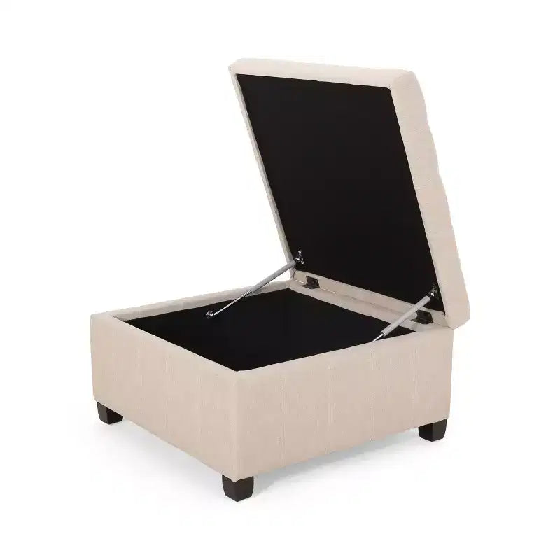 Pouf Contenitore Quadrato TUYOHW, Panca da Ingresso con Cuscino Raffinato, Panca Contenitore per Soggiorno, Camera da Letto