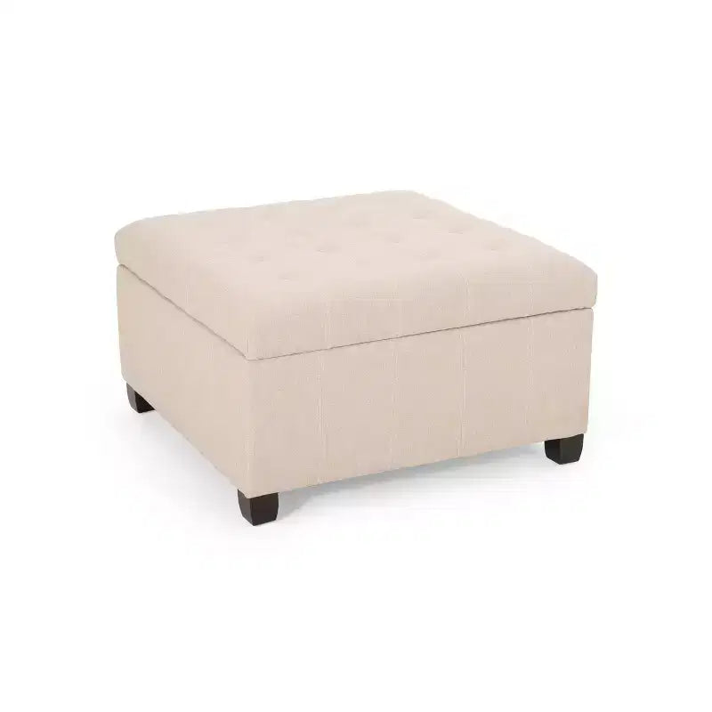Pouf Contenitore Quadrato TUYOHW, Panca da Ingresso con Cuscino Raffinato, Panca Contenitore per Soggiorno, Camera da Letto