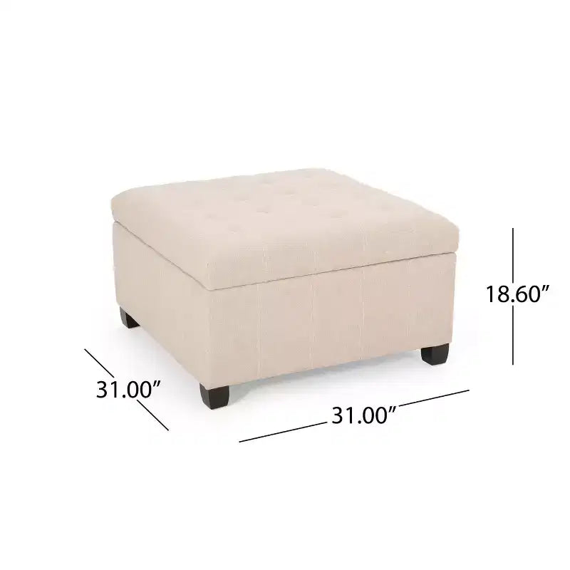 Pouf Contenitore Quadrato TUYOHW, Panca da Ingresso con Cuscino Raffinato, Panca Contenitore per Soggiorno, Camera da Letto