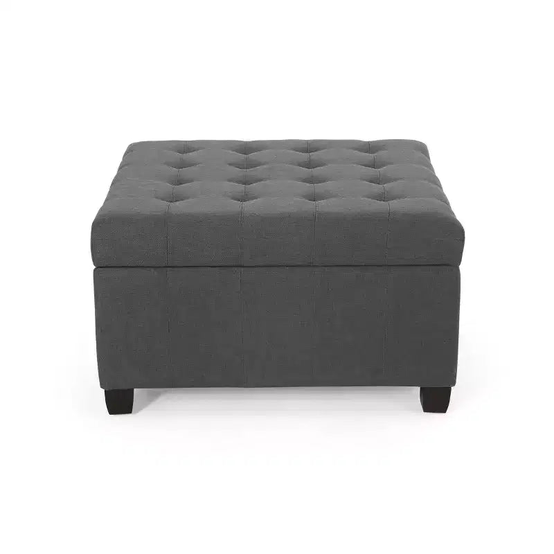 Pouf Contenitore Quadrato TUYOHW, Panca da Ingresso con Cuscino Raffinato, Panca Contenitore per Soggiorno, Camera da Letto