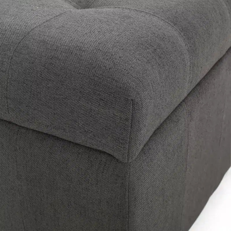 Pouf Contenitore Quadrato TUYOHW, Panca da Ingresso con Cuscino Raffinato, Panca Contenitore per Soggiorno, Camera da Letto