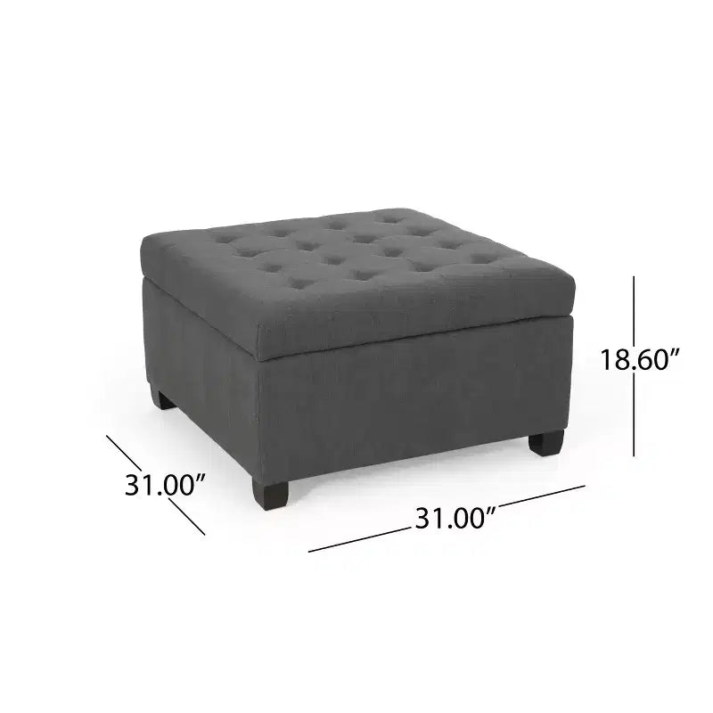 Pouf Contenitore Quadrato TUYOHW, Panca da Ingresso con Cuscino Raffinato, Panca Contenitore per Soggiorno, Camera da Letto
