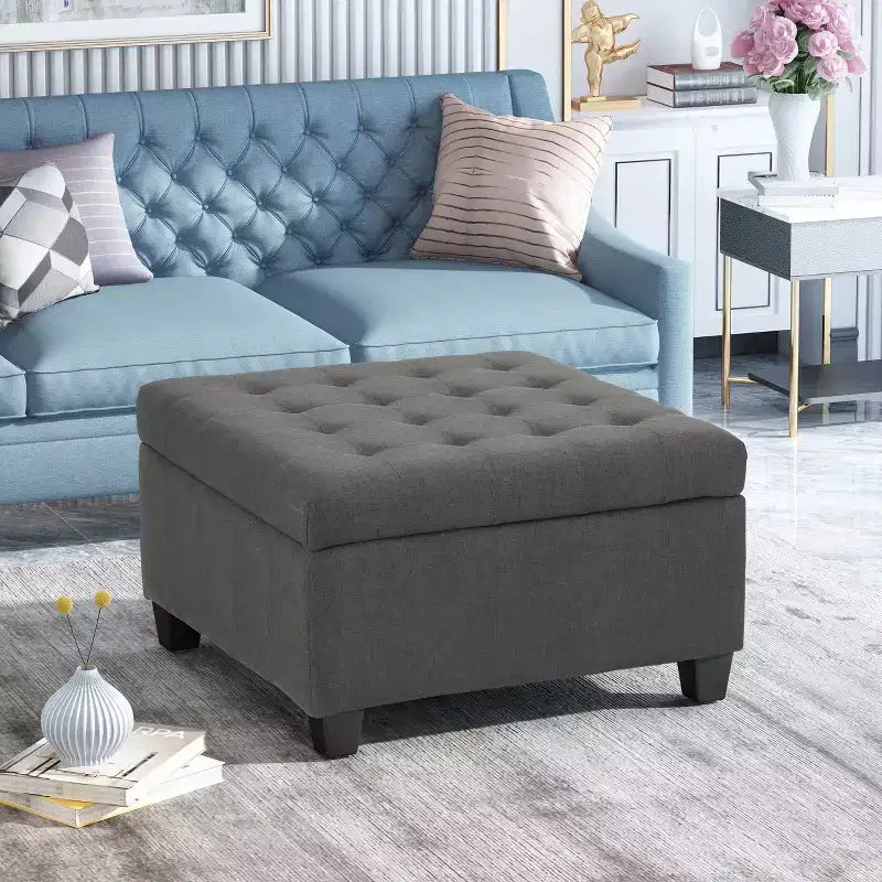 Pouf Contenitore Quadrato TUYOHW, Panca da Ingresso con Cuscino Raffinato, Panca Contenitore per Soggiorno, Camera da Letto