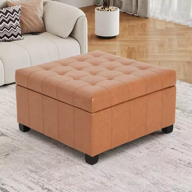 Pouf Contenitore Quadrato TUYOHW, Panca da Ingresso con Cuscino Raffinato, Panca Contenitore per Soggiorno, Camera da Letto